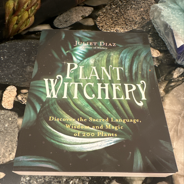 Plant Witchery