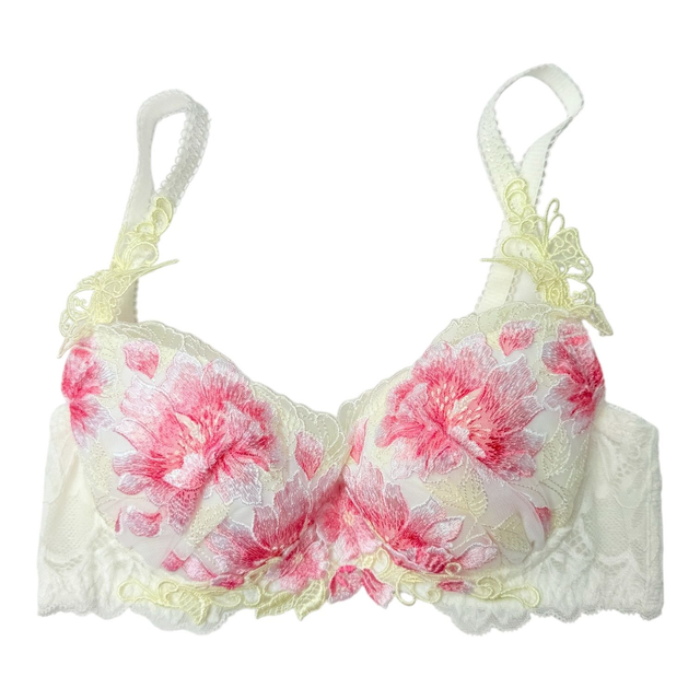 Pink + yellow fairy floral intricate embroidered Japanese Bra UK 30A 
