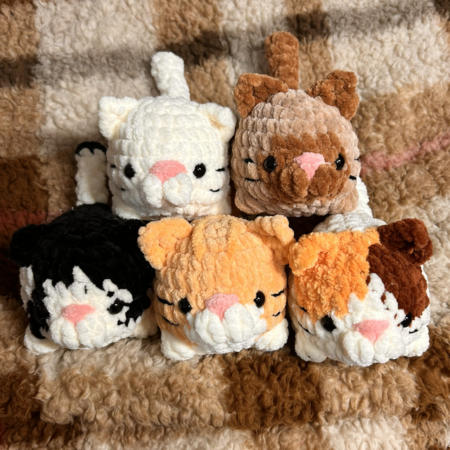 Chat (possible personnalisée en DM)