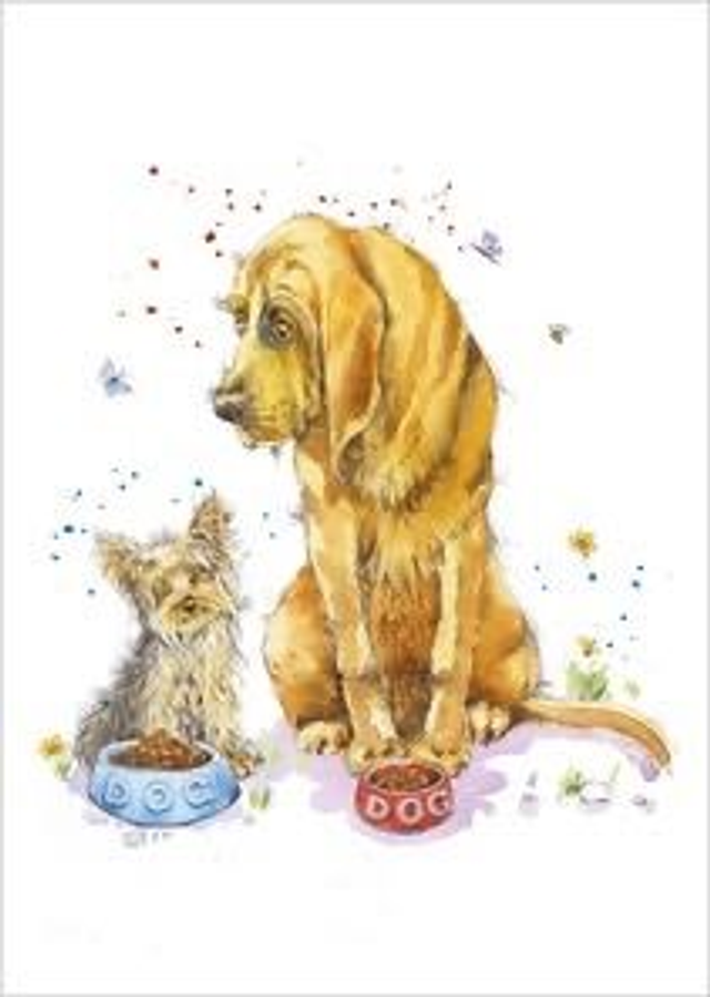 DOES SIZE MATTER B037