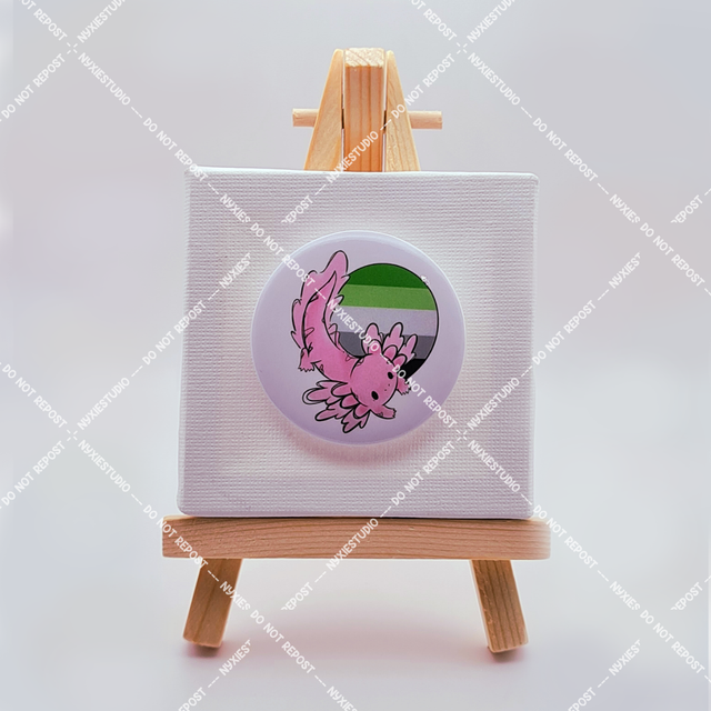 Axolotl Aromantic Button Pins