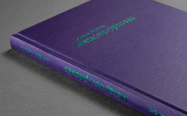 Soraya Hocine Métamorphoses