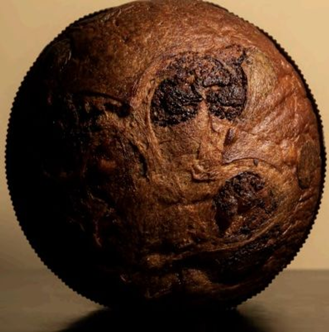 Panettone Poire &amp; Gianduia 