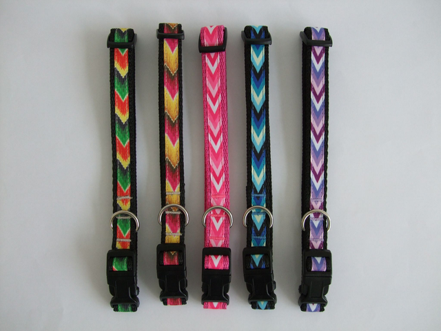 Patterned Tag Collars
