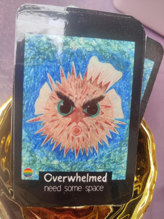 Wallet Talking Cards