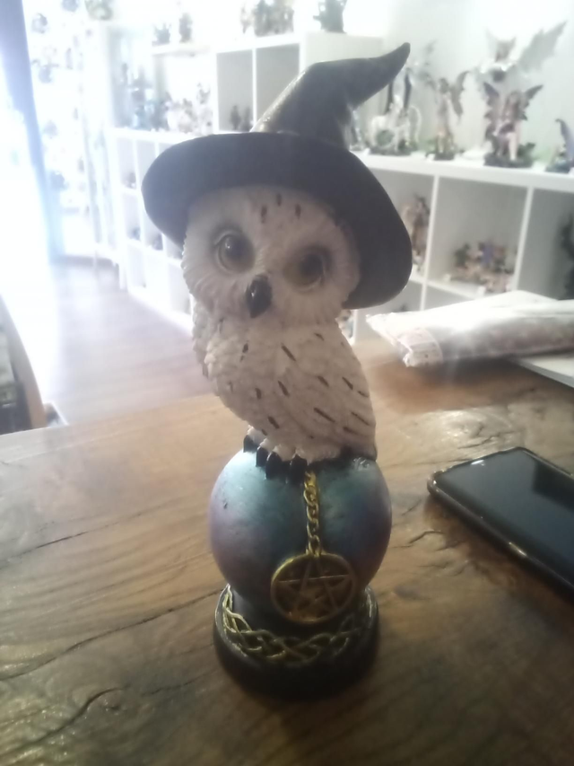 Hibou magiciens 