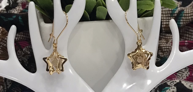 Brown Dangling Earrings- BDE553-V2