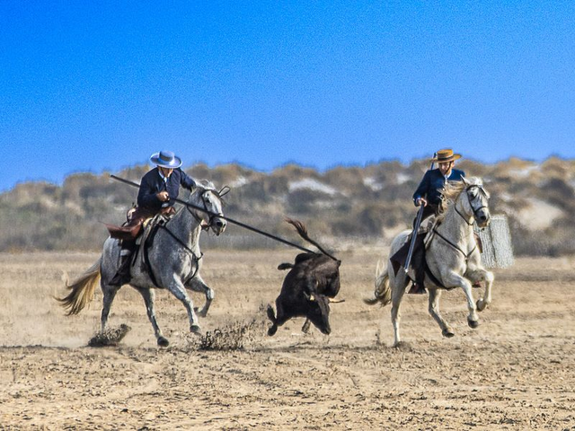 ACOSO Y DERIBO SAINTE MARIE DE LA MER 30x45 Aluminium