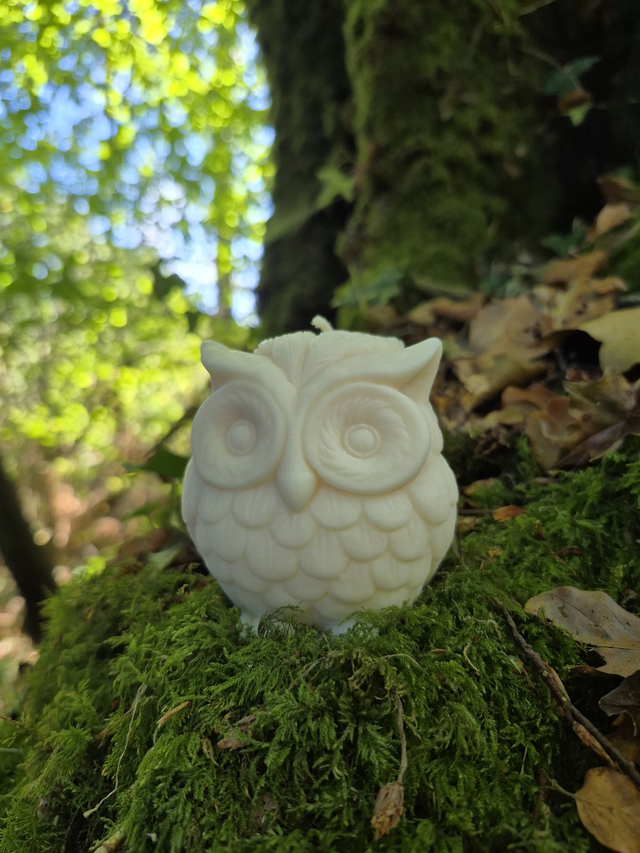 Alfred 🦉