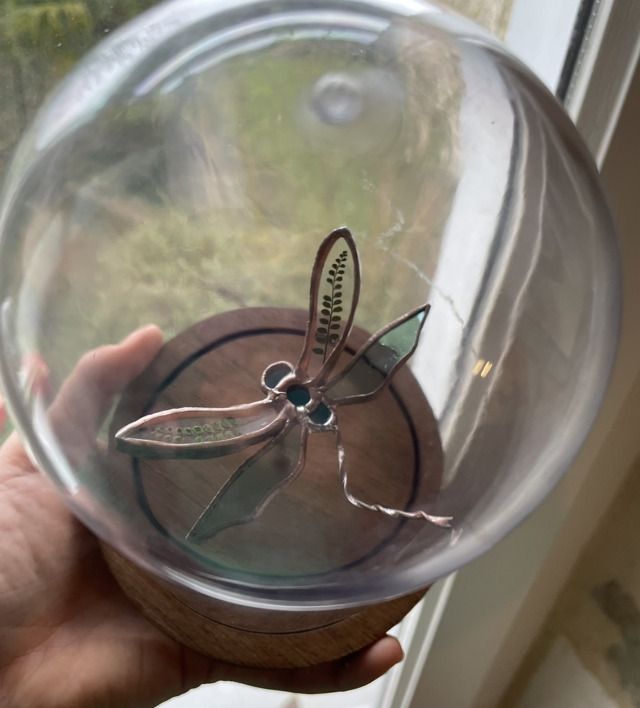 Éphémère Éternité – Libellule