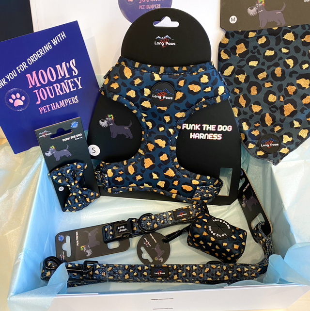 Funk The Dog Green and Gold Accessory Set