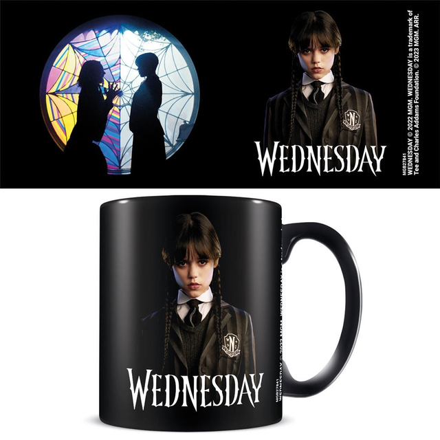 Wednesday: Wednesday and Enid Mug