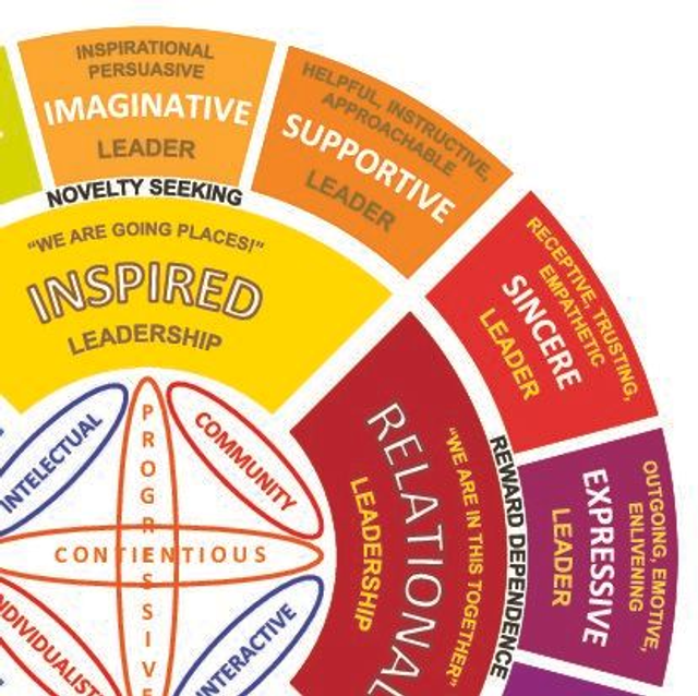 Shadow Work Organisational Consultants Training Deposit