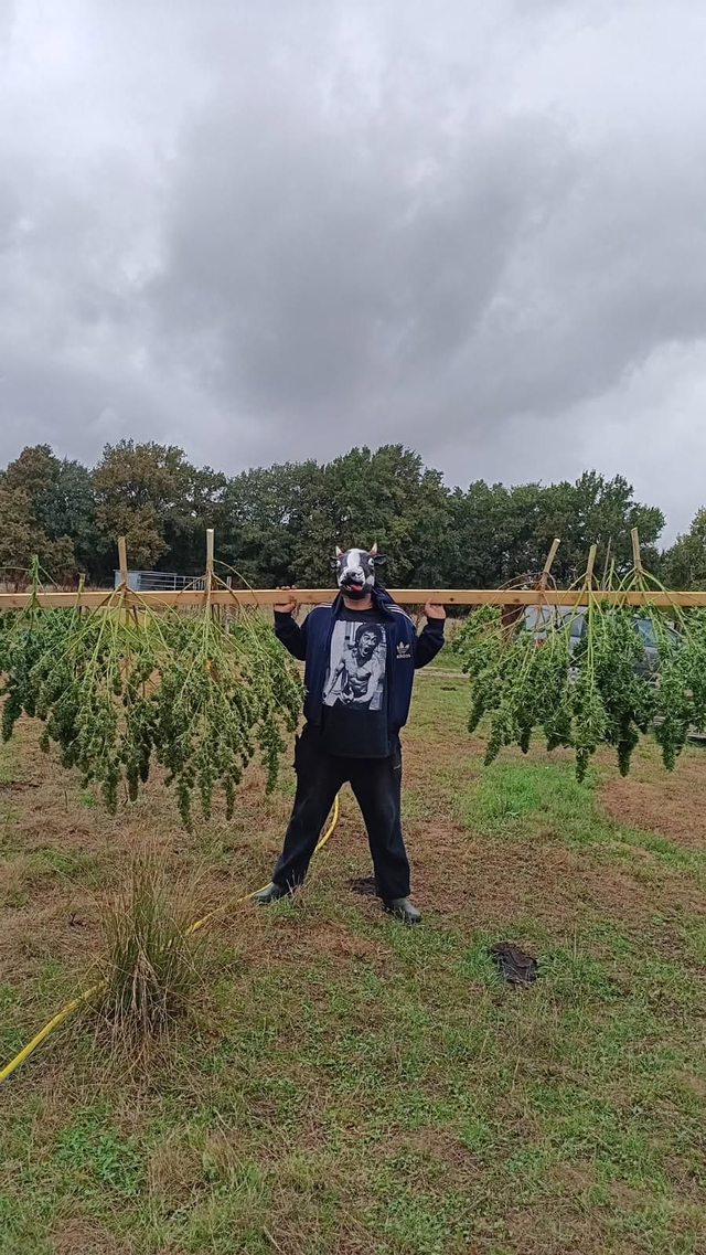 CBD Bio naturel et fait avec amour 10g