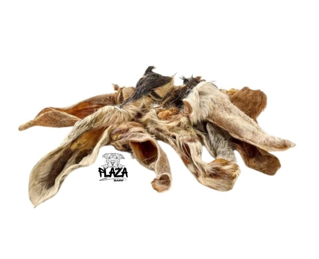 Orecchie di agnello con pelo