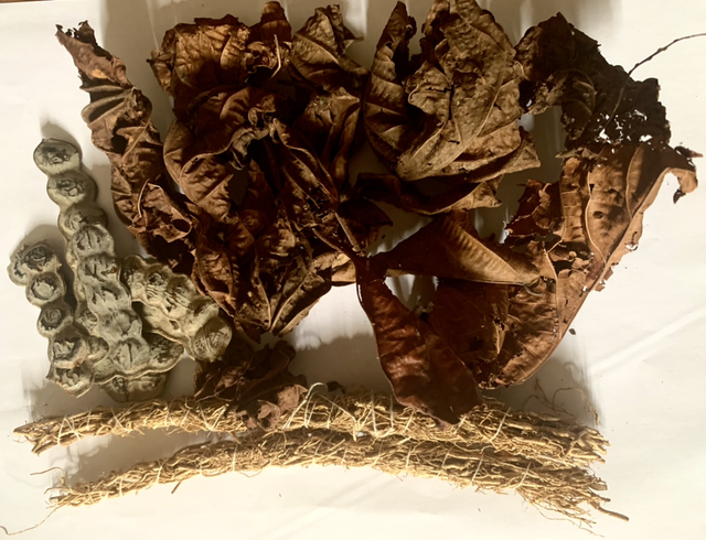 PACK GONGOLI/DJEKA/NEP NEP