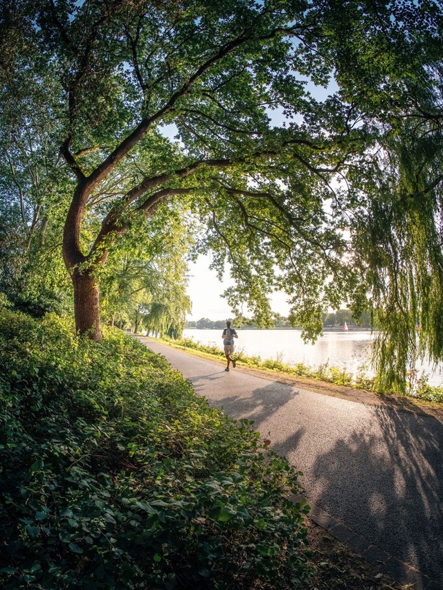 Uferweg am Aasee
