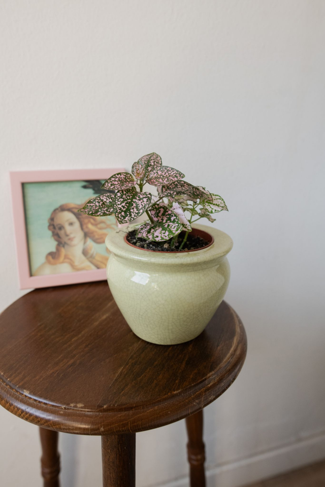 Pot vert pastel 🧩 Mix &amp; Match