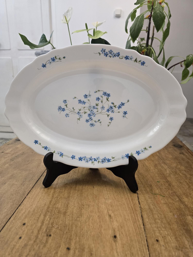 Plat ovale Arcopal Myosotis 