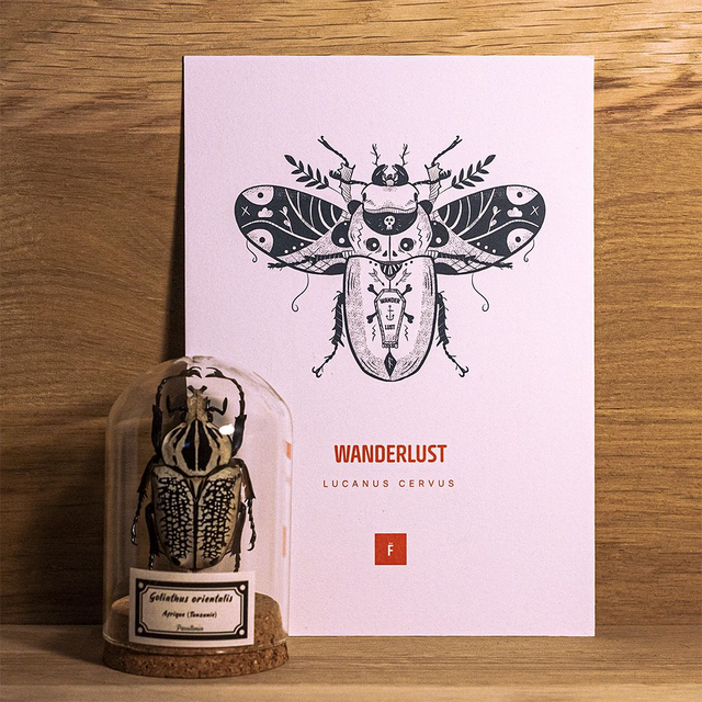 _A5 / Wanderlust