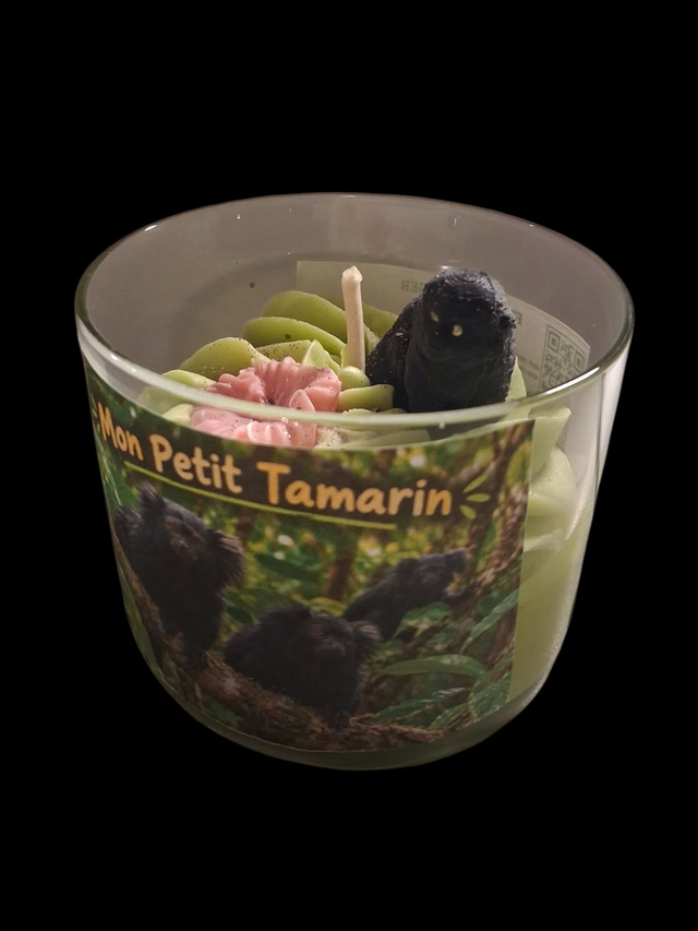 Mon petit tamarin