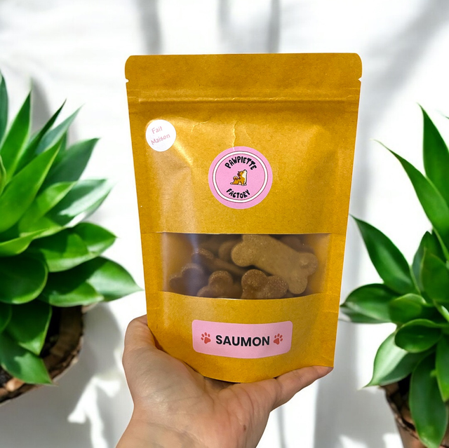 Biscuits saumon