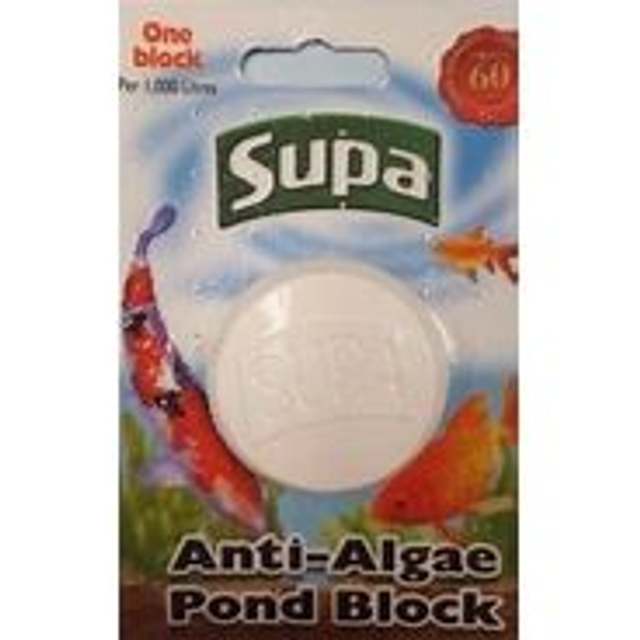 Anti-Algae Pond Block