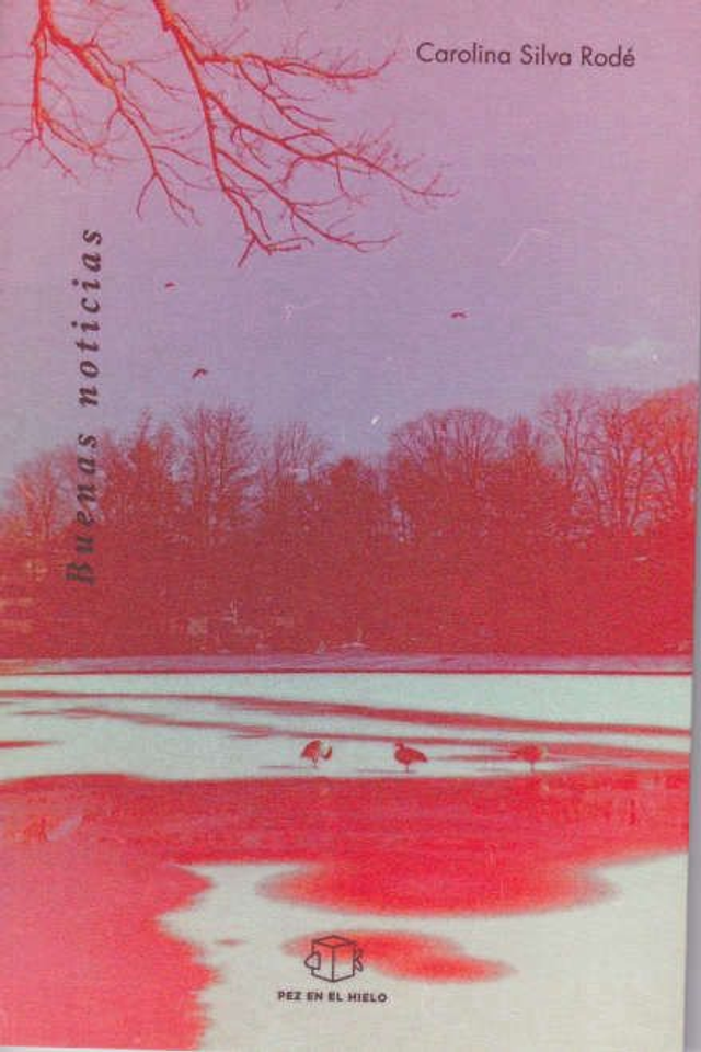 Buenas noticias - Carolina Silva Rodé