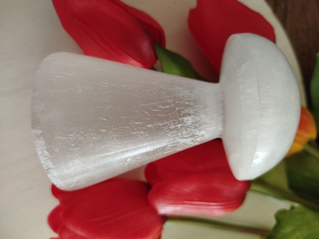 Champignon en Sélénite