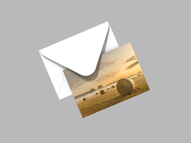 Fields of Gold, North Yorkshire