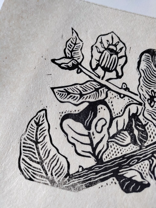 "Larve" impression Format A5