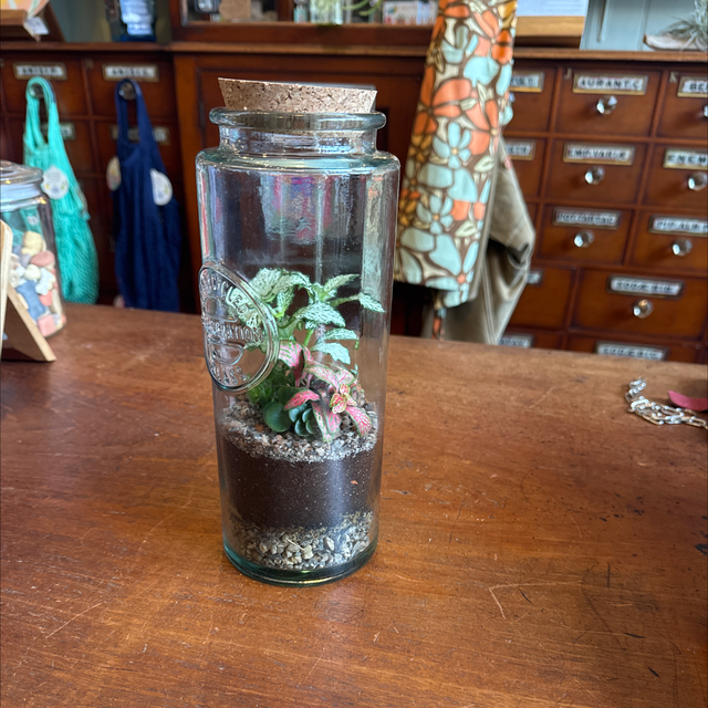 Recycled Glass Terrarium 