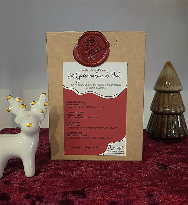 Kit fondant parfumé "Gourmandises de Noël"