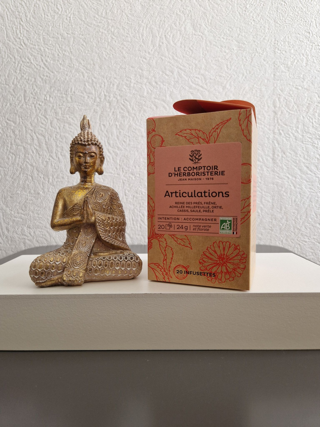 Tisane infusette articulations bio (x20)