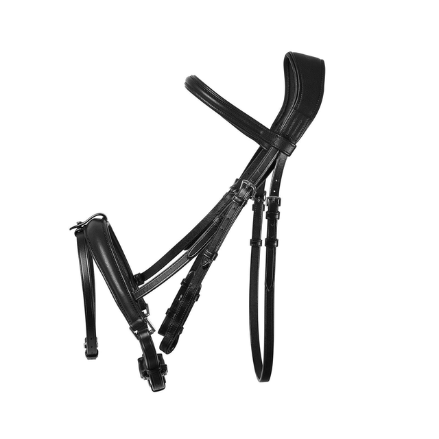 Cameo Ecorider Superlux Bridle