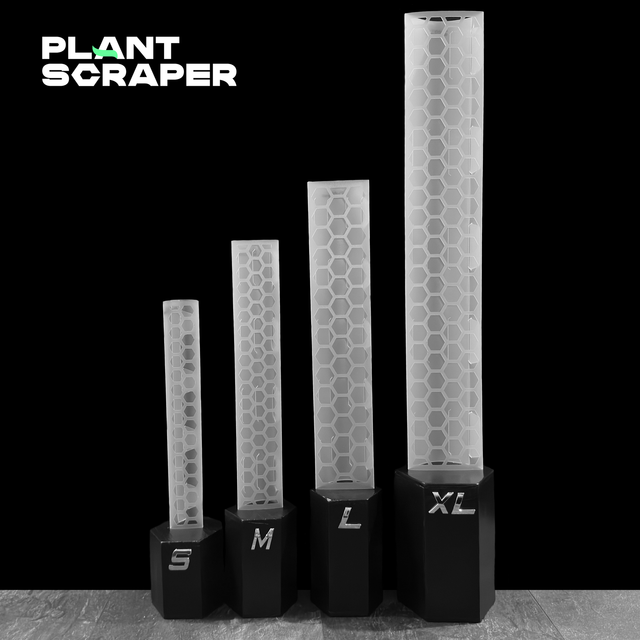 Rankstab - transparent