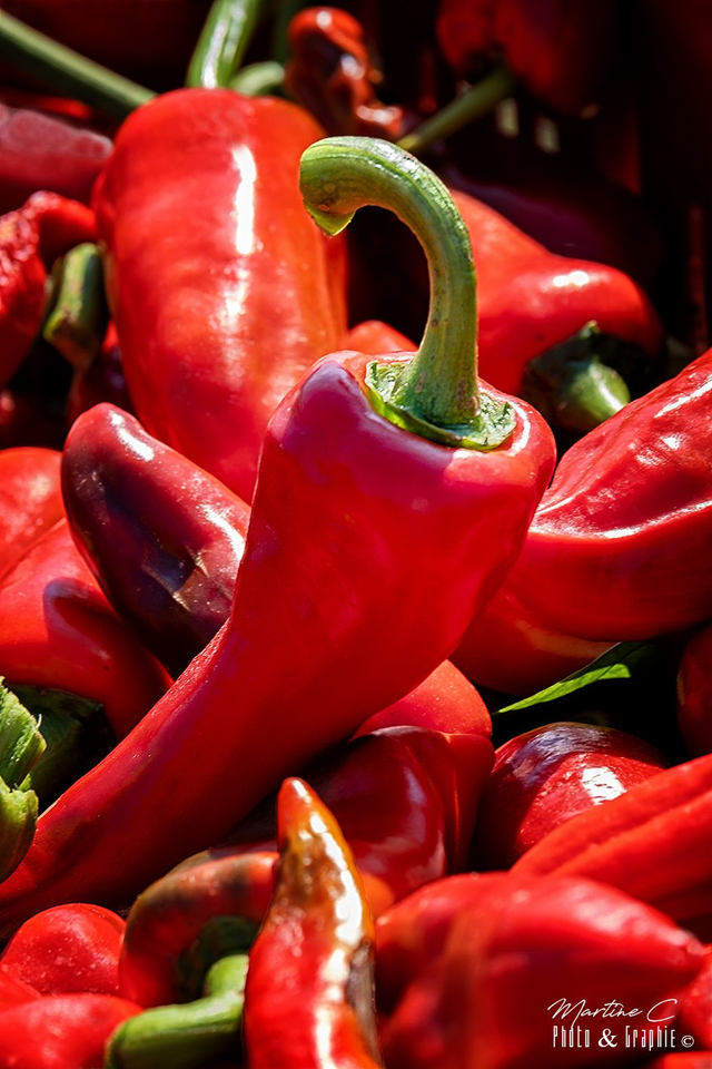 Piment star d'Espelette cadre 50X40