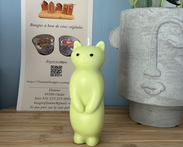 Meow le chat