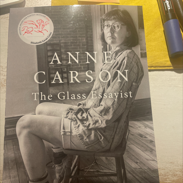 Anne Carson The Glass Essayist Elizabeth Sarah Coles