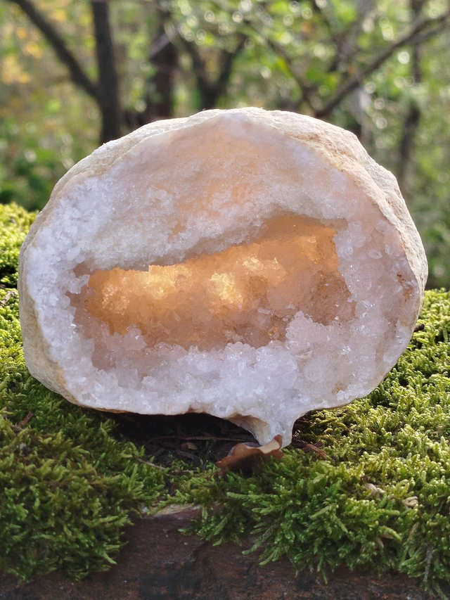 Géode de Quartz ( Cristal de Roche)