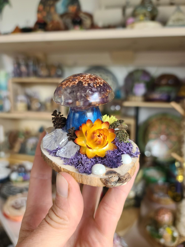 Mini champignon 🍄 N°1