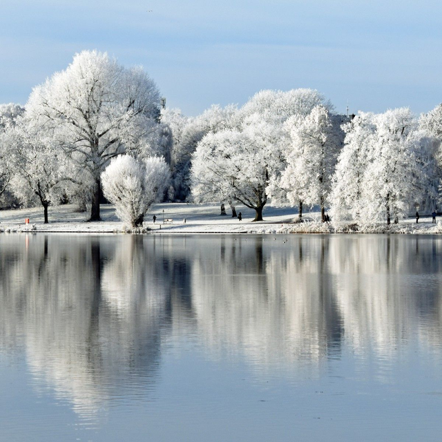 Winterspiegelung am Aasee