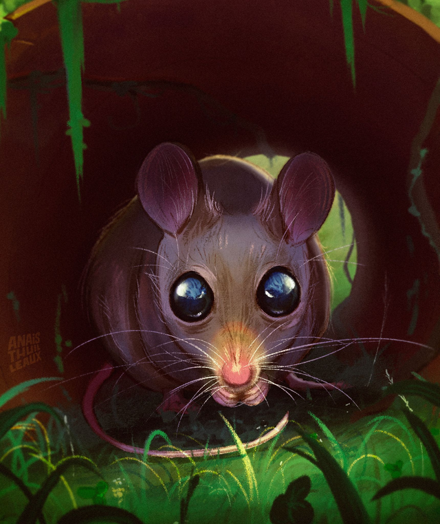La souris 🐭