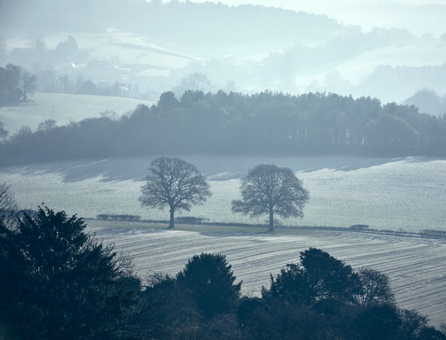Morning Mist, Newlands