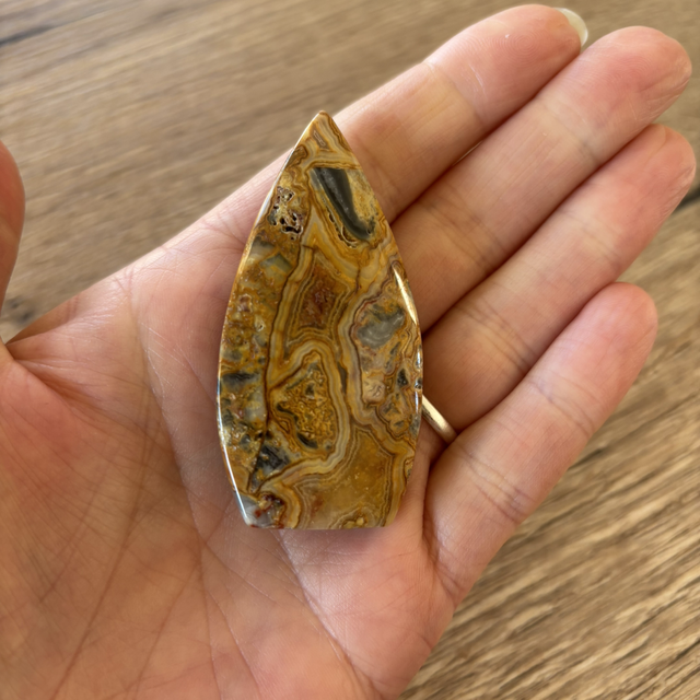 Pointe Agate Crazy Lace