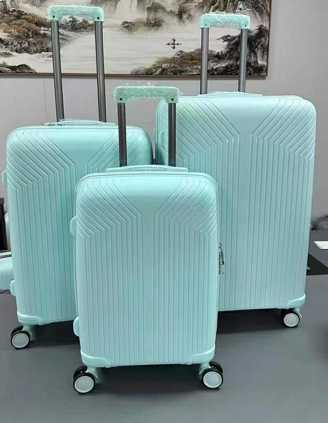 PP Cabin Luggage