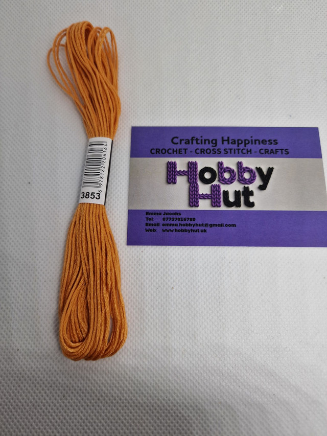 Embroidery Thread - 3853