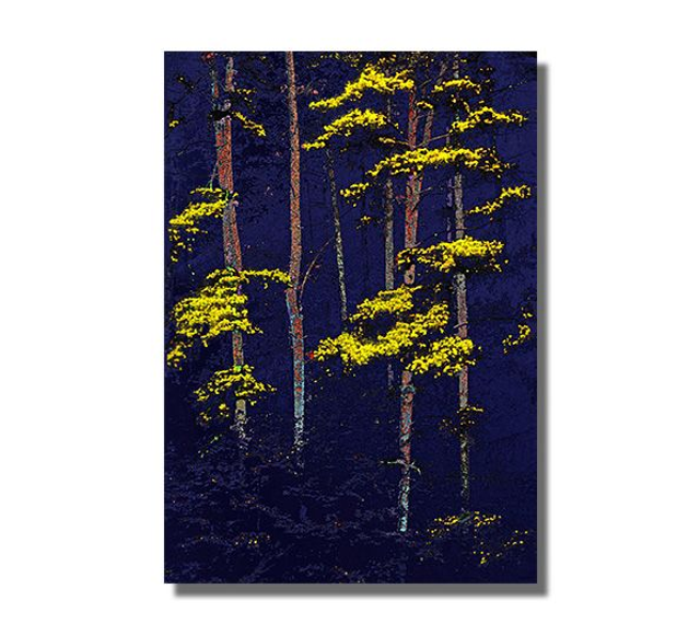 02 Nature - Yellow Closure, 2020.