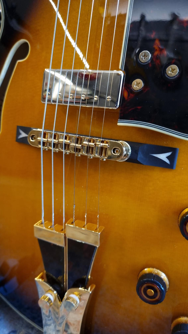 Ibanez George Benson GB10SE Brown Sunburst + Upgrade (Usato)