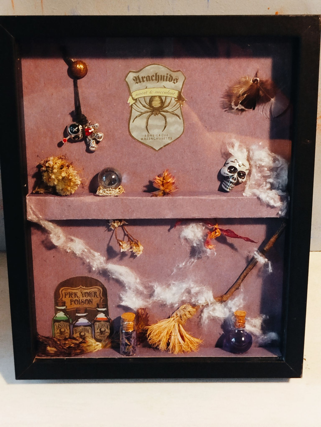 Cabinet de curiosité 1